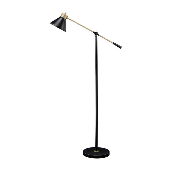 Black and Gold Floor Lamp